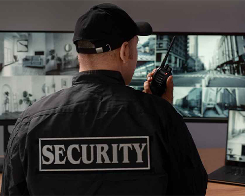 Avi Security Services